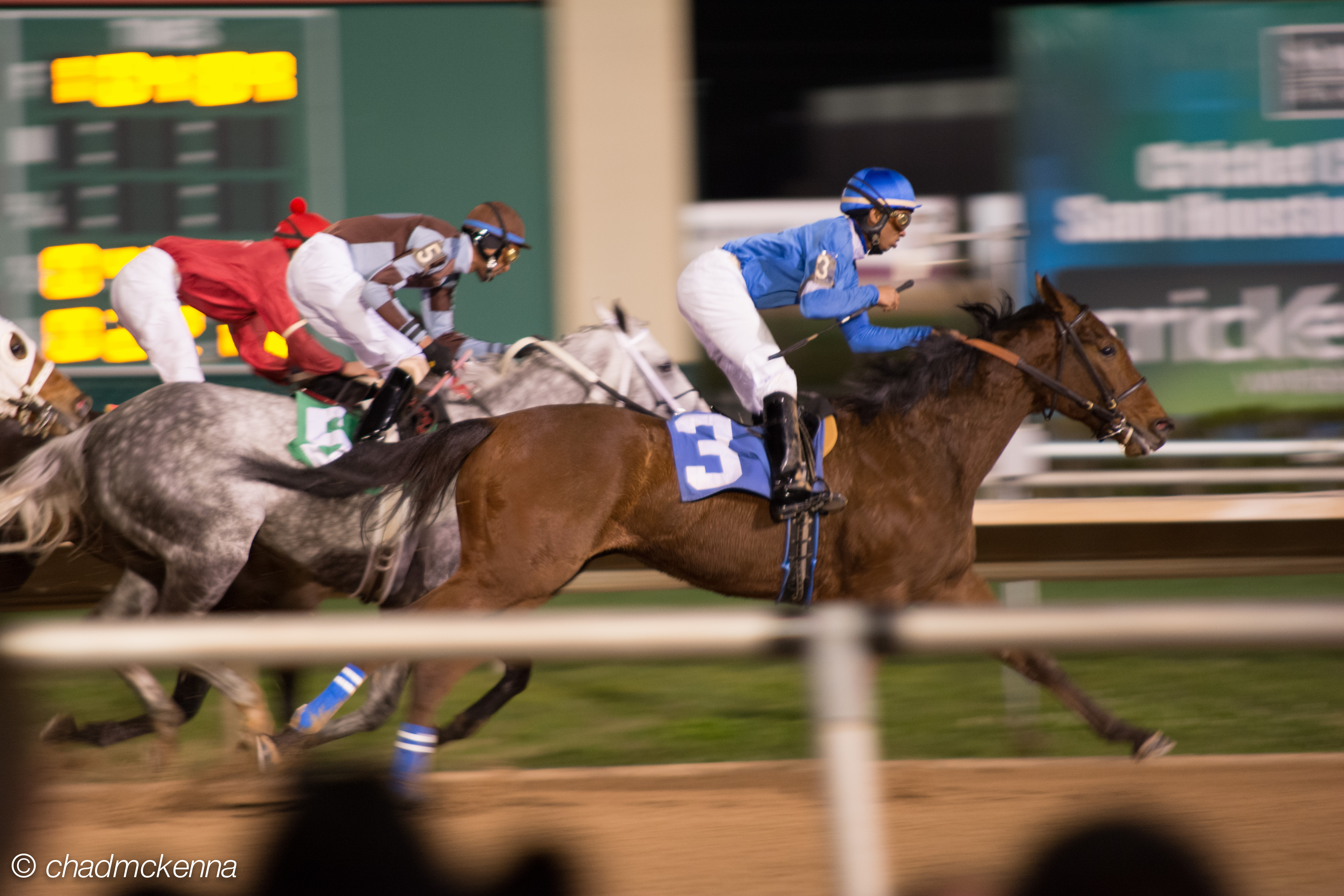 More Horses!