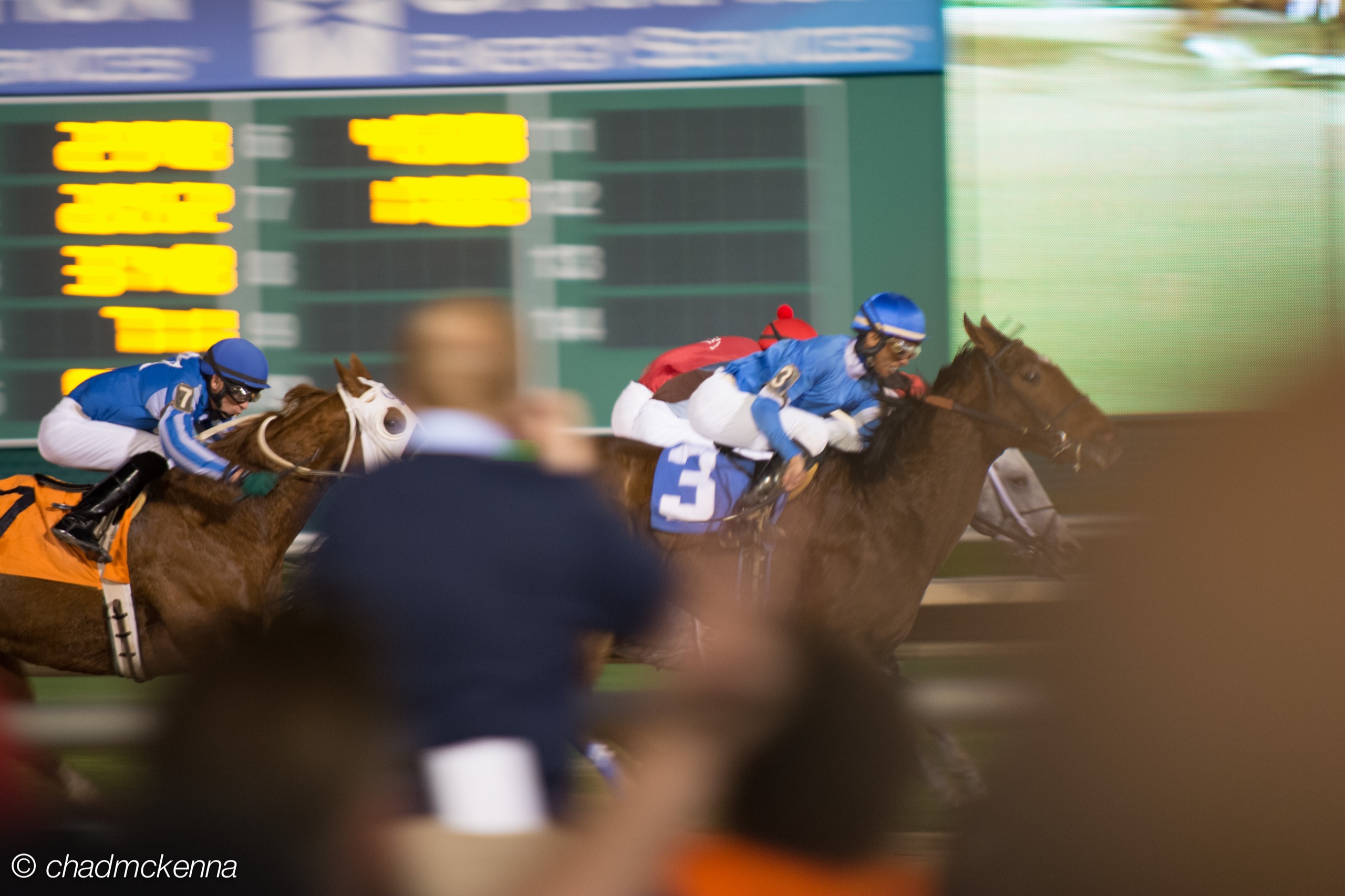 Ostrich Races