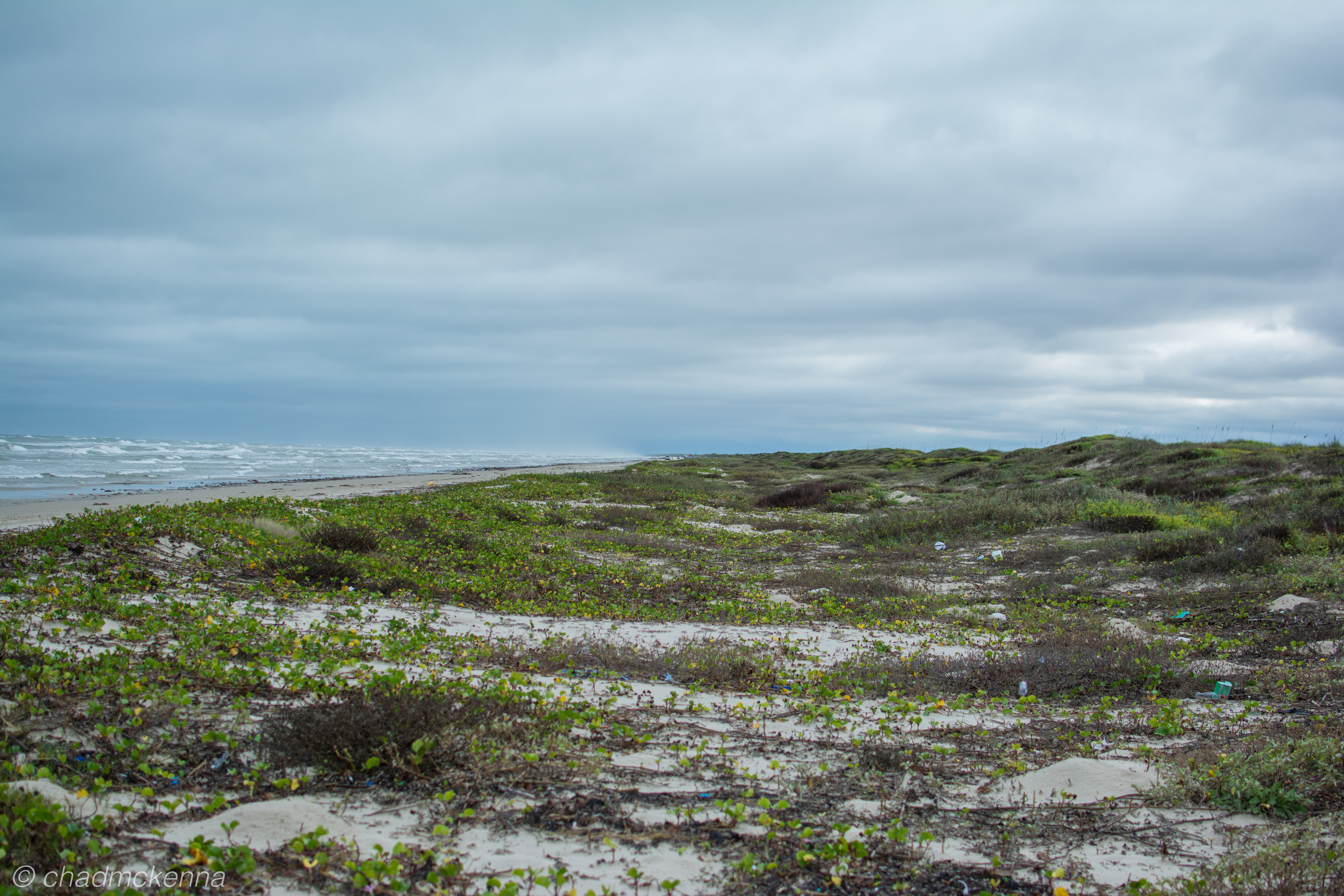 DSC_8854-1