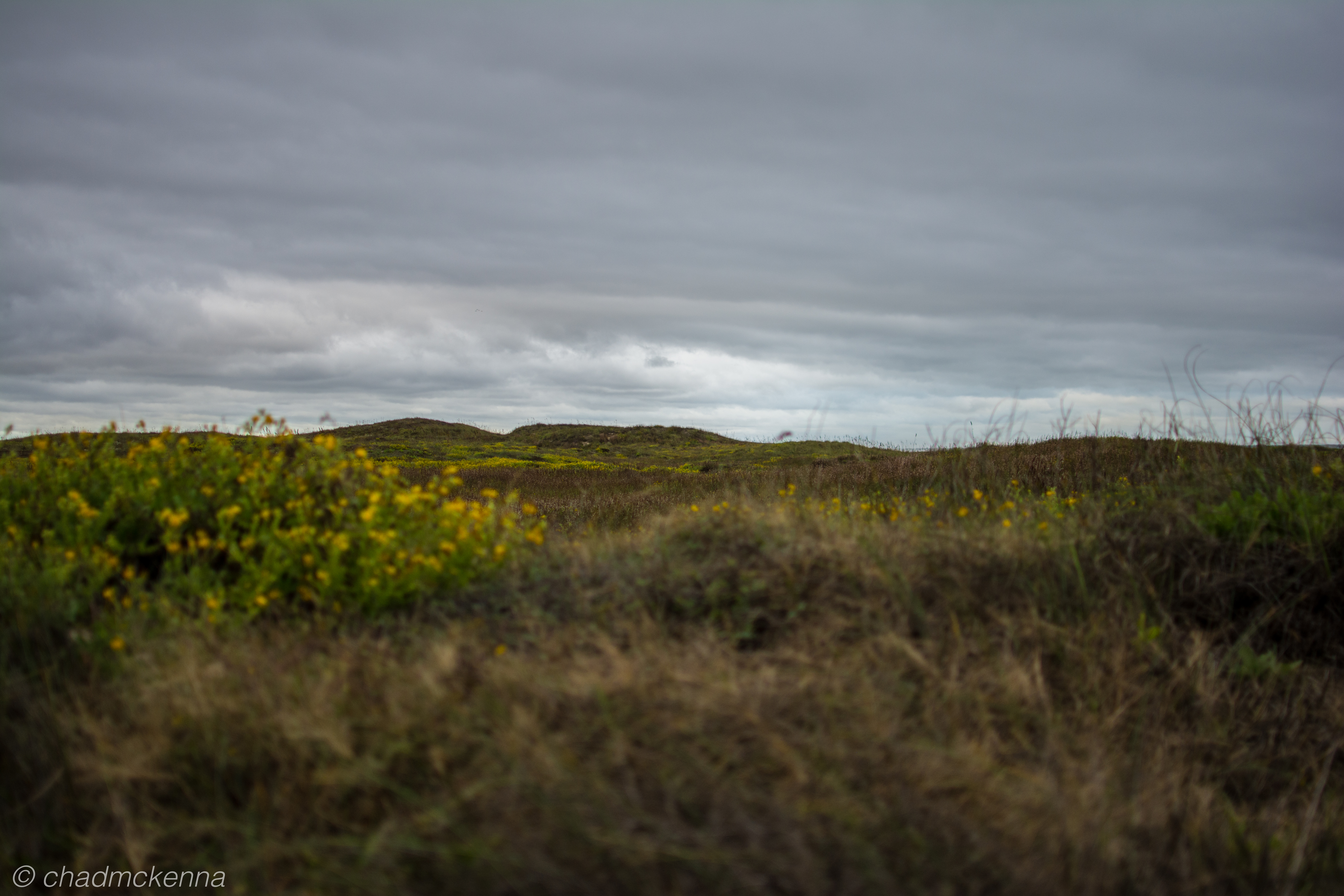 DSC_8936-16