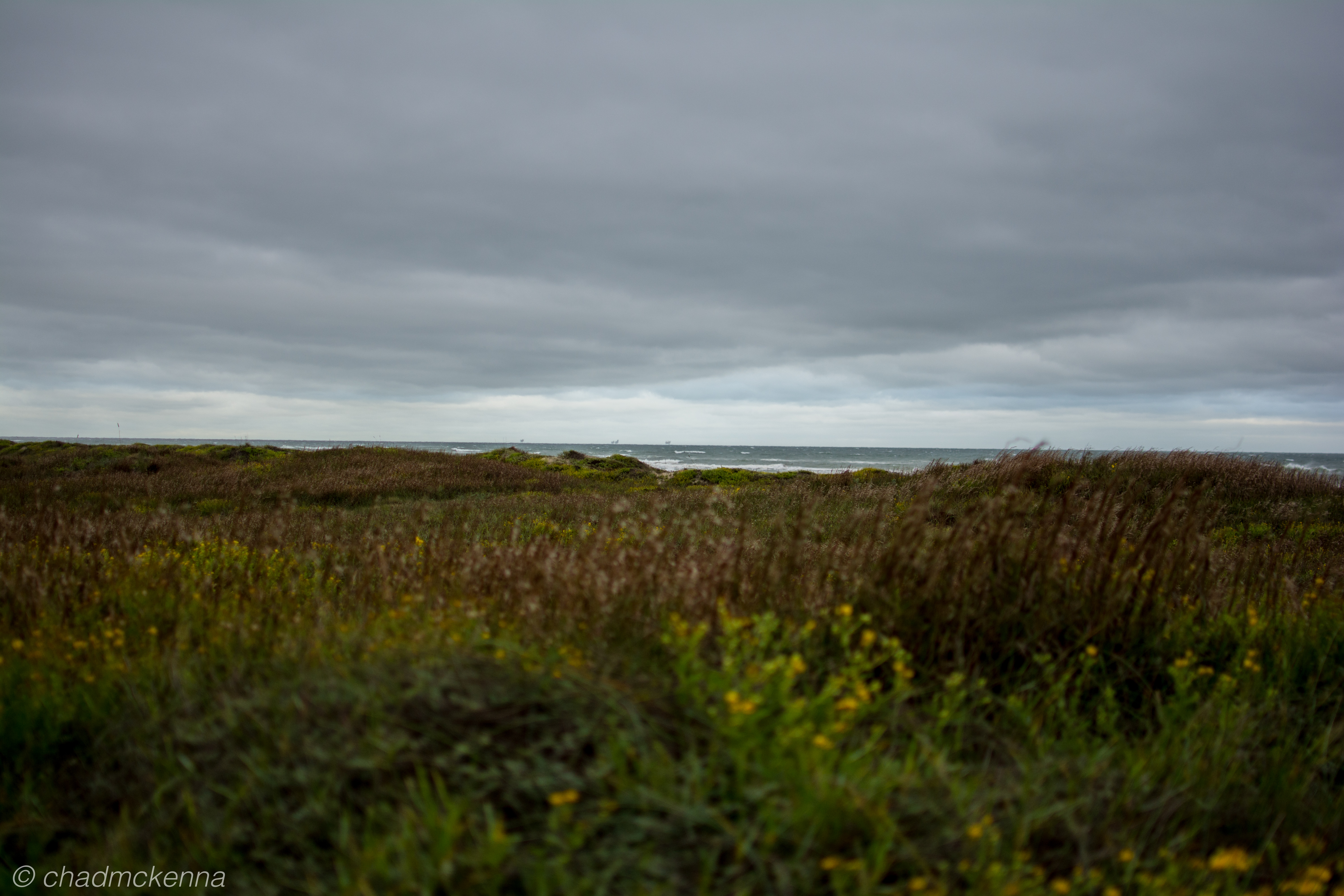 DSC_8937-17