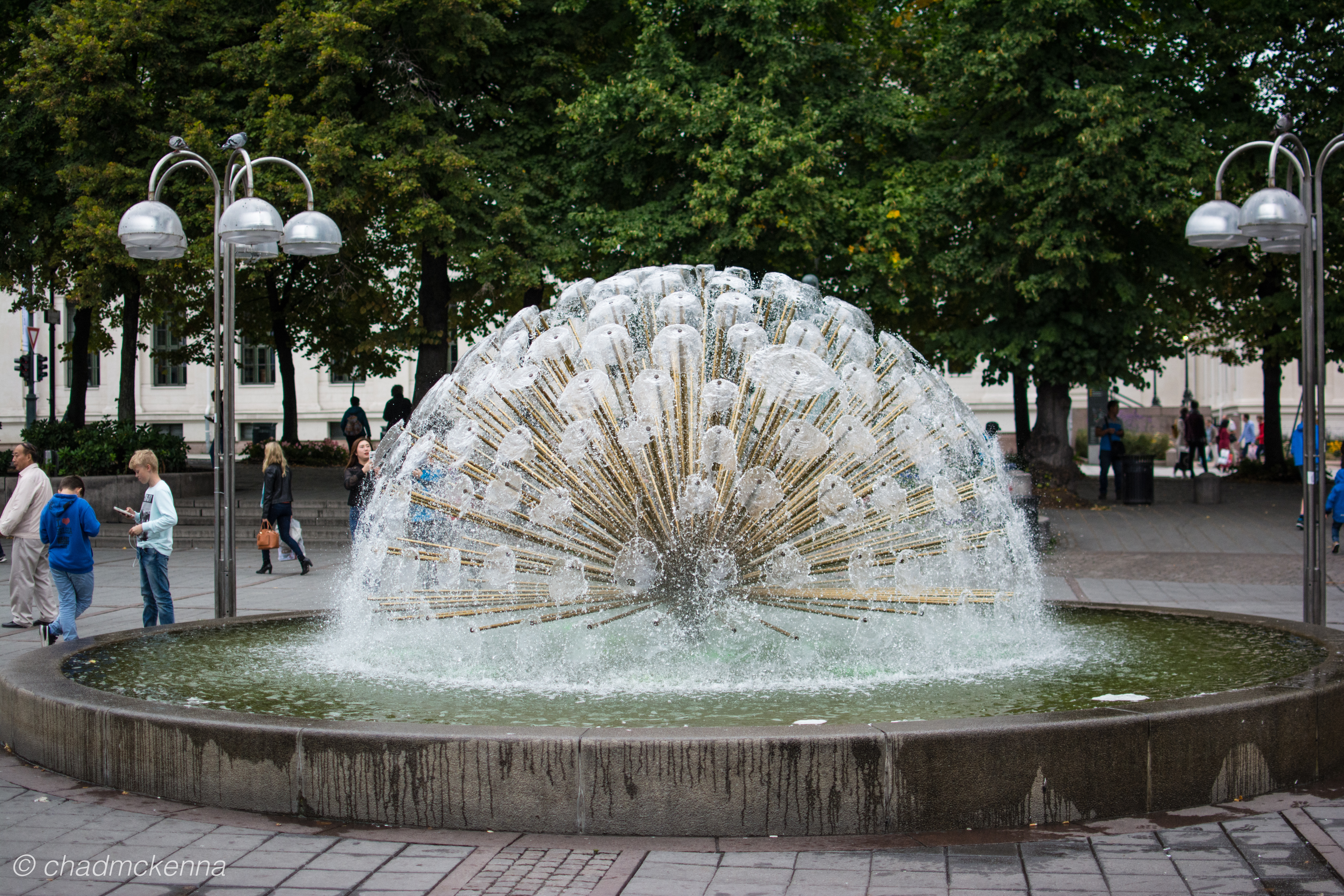 dsc_3519-19