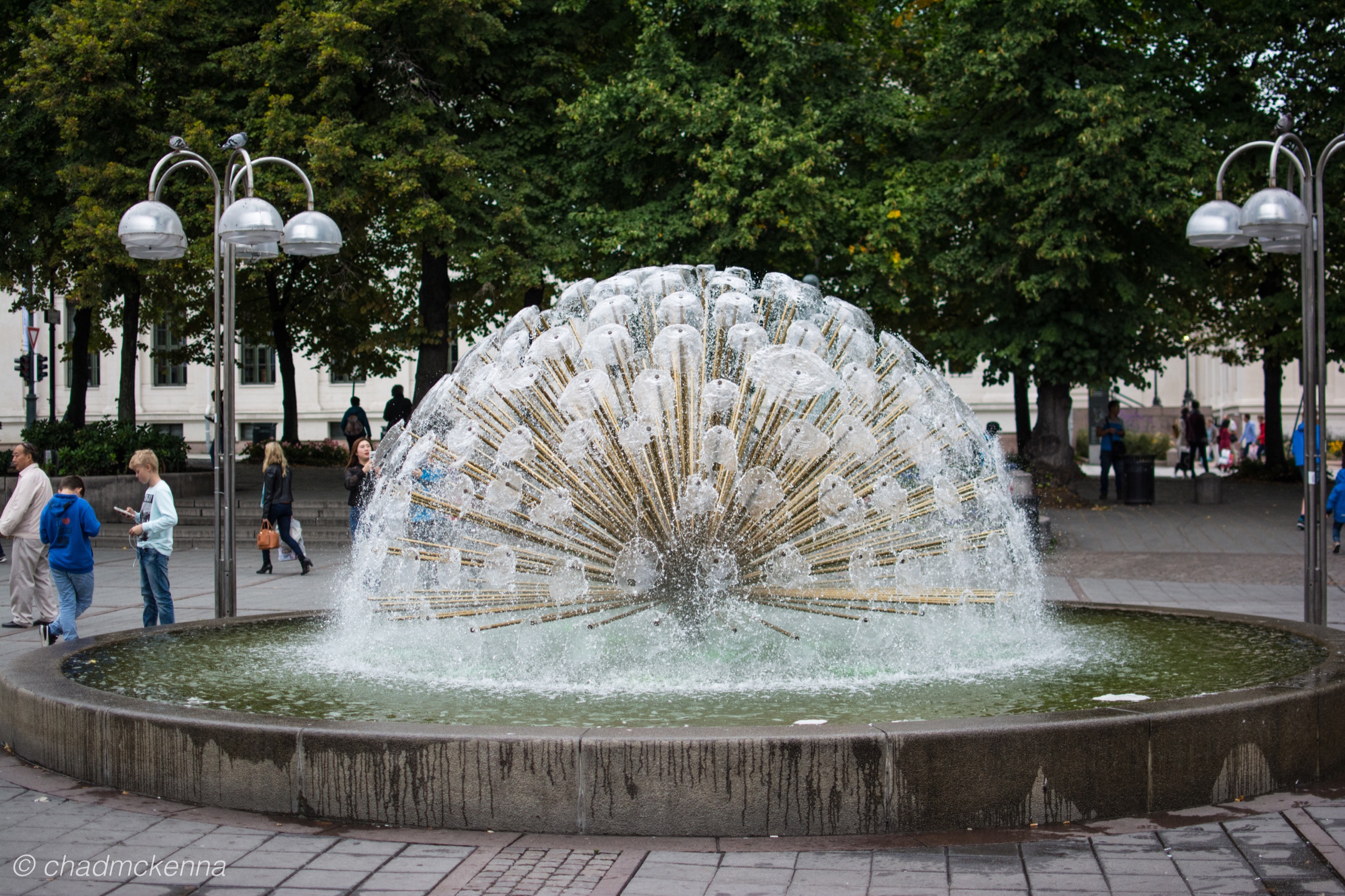 dsc_3519-19