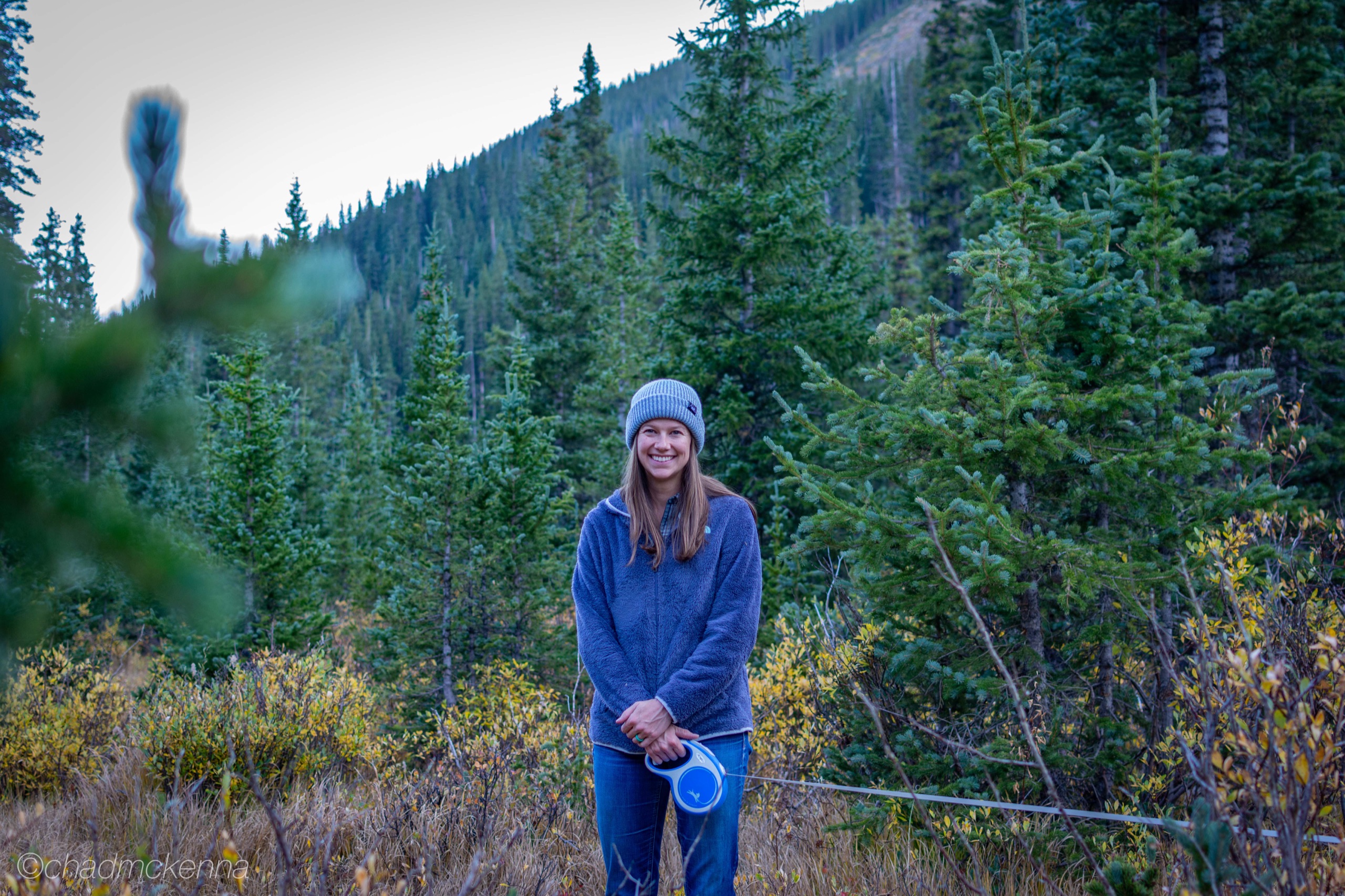 Leaf Peeping